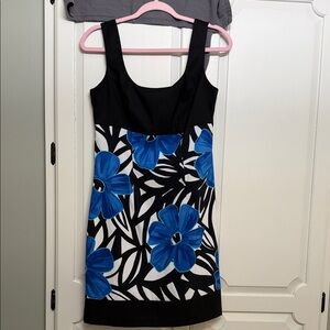dressbarn Black and Blue Floral Mini Dress